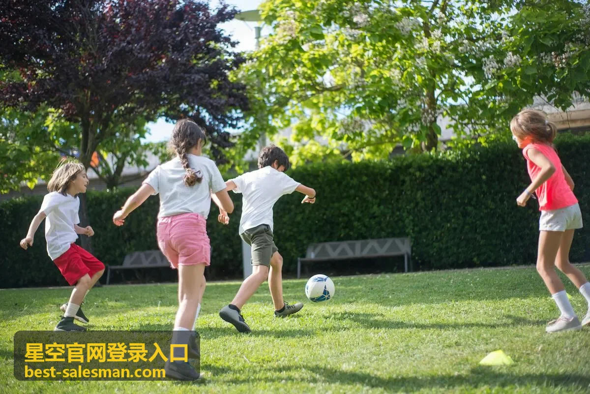 星空官网登录入口用于企业办公与移动访问使用场景